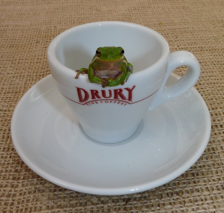 Drury Tea & coffee - Rainforest Alliance - Follow the Frog
