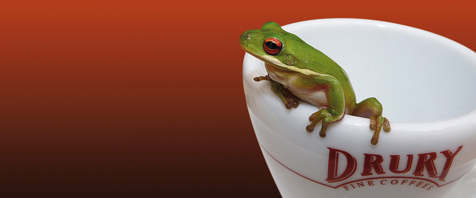 Rainforest Alliance Header - With Frog